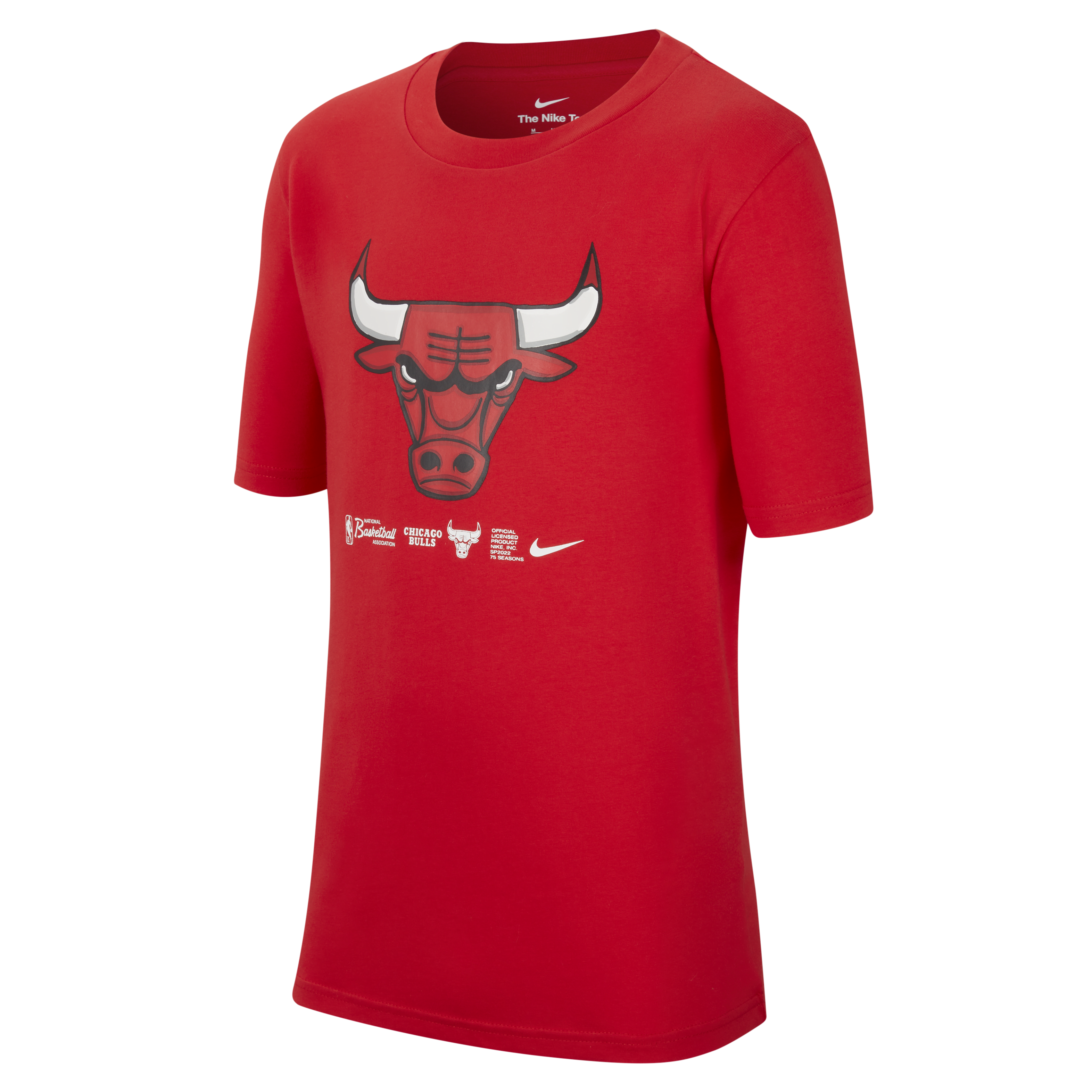 入手困難】NIKE BIGSWOOSH 90s ChicagoBulls L